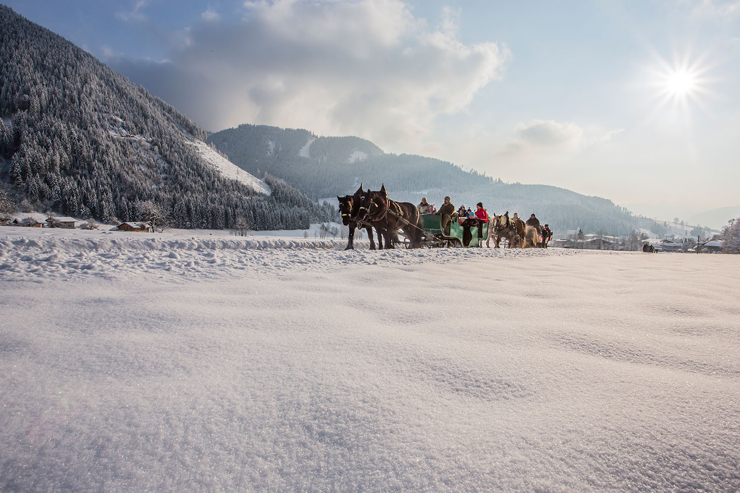 Die Winterstimmung im Salzburger Land bei einer Fahrt mit dem Pferdeschlitten genießen
