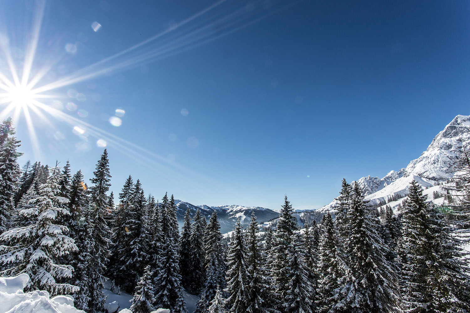 Winterzauber im Salzburger Land, verschneiter Wald